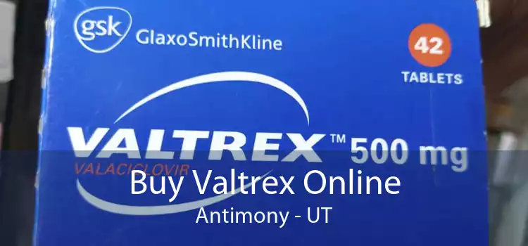 Buy Valtrex Online Antimony - UT