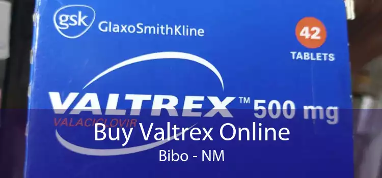 Buy Valtrex Online Bibo - NM