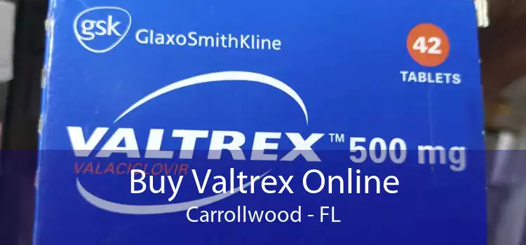 Buy Valtrex Online Carrollwood - FL